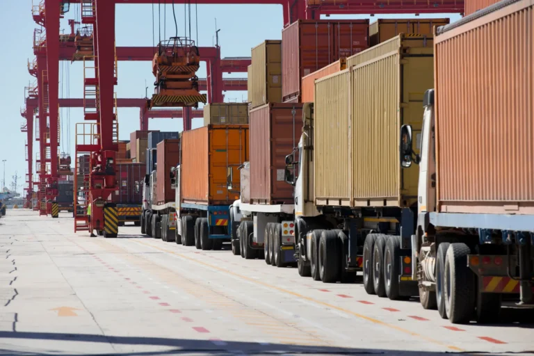 Importar+y+exportar+de+forma+terrestre